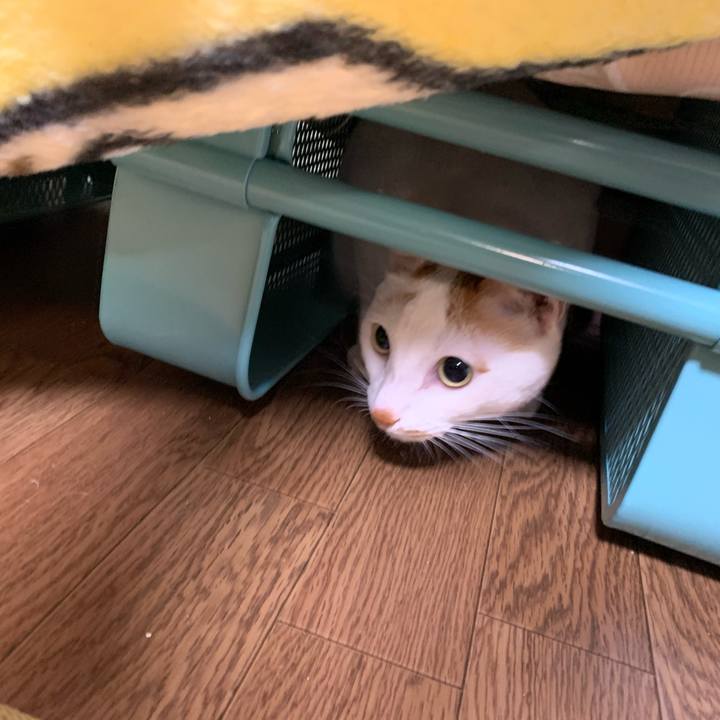 548904e1 307e 4225 bc85 46dfe319a58e 1573724767074