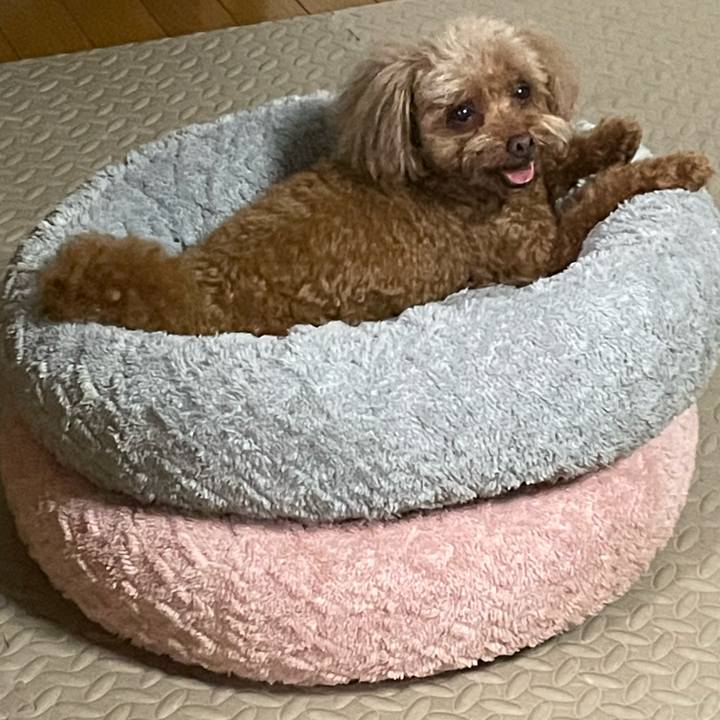 54891994 7ca1 4a12 abf7 8d8d27f79880 1718545139588