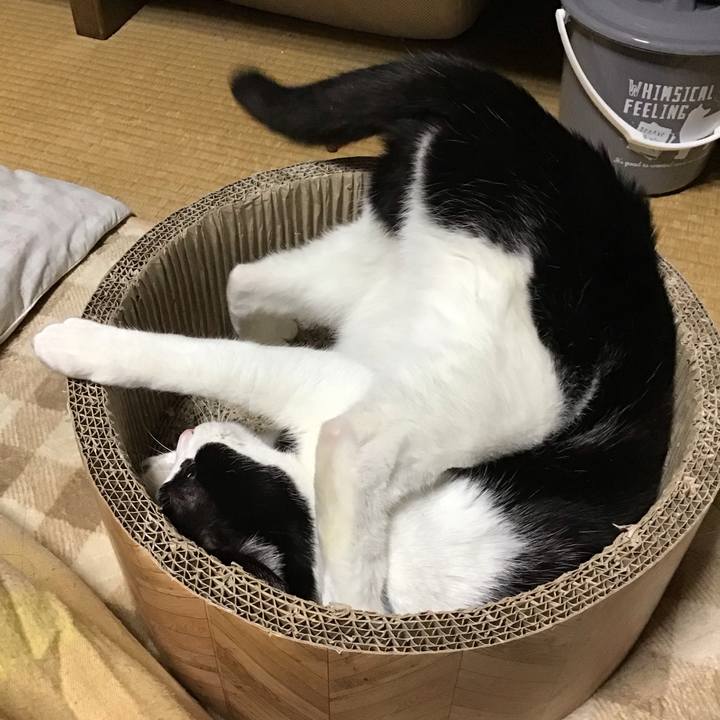 54894d33 2297 4171 80d1 b2ea84cb1af4 1703580424277