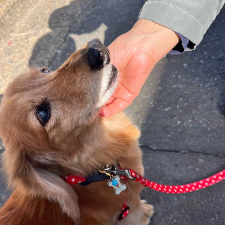 54897030 3dcf 497d ac46 fdf34ad2a52d 1648366688671