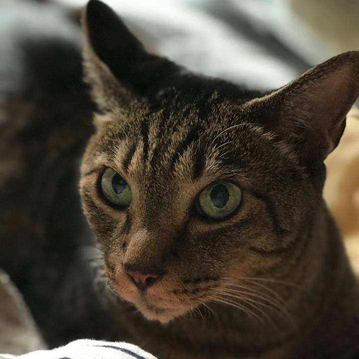 548998de 3f51 4f28 802c ba0f9f1b2e3d 1536021416353