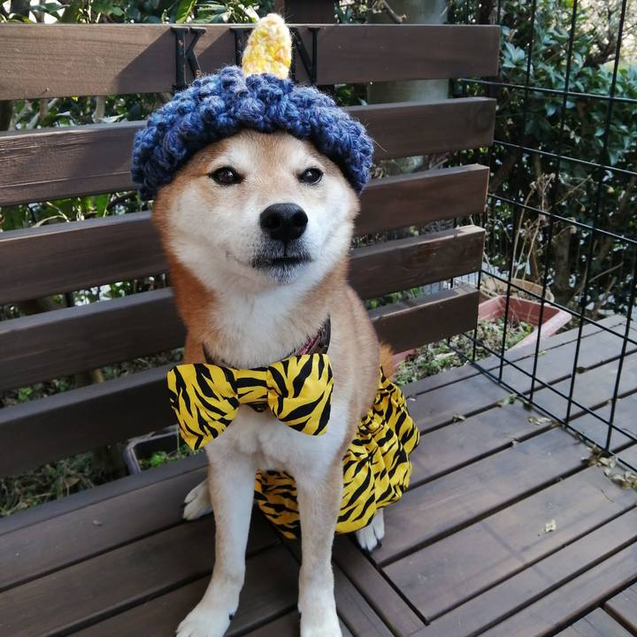 5489a206 2f86 4bee a6c6 53f8c40a8bb6 1643340749943