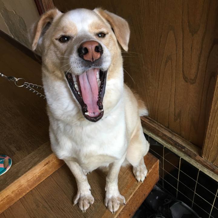 5489b7fa c6b0 4782 a330 cad58cdcd9a6 1525146005008