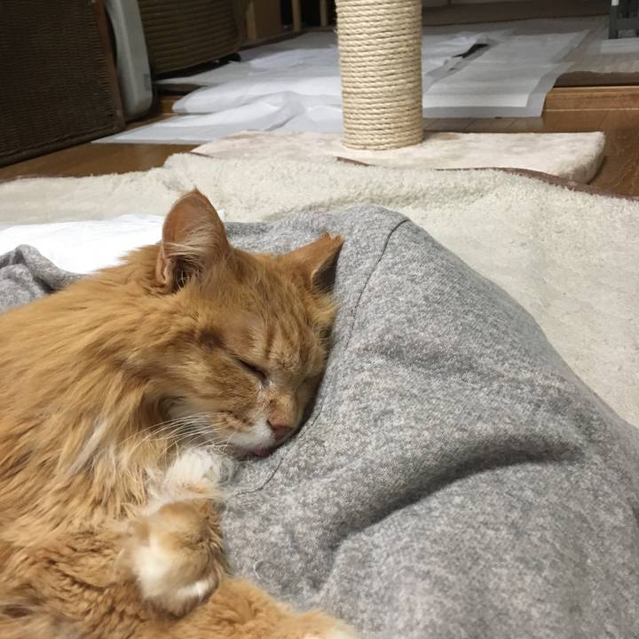 5489dbee ec33 46fe a0af b134064a8b65 1523485511023