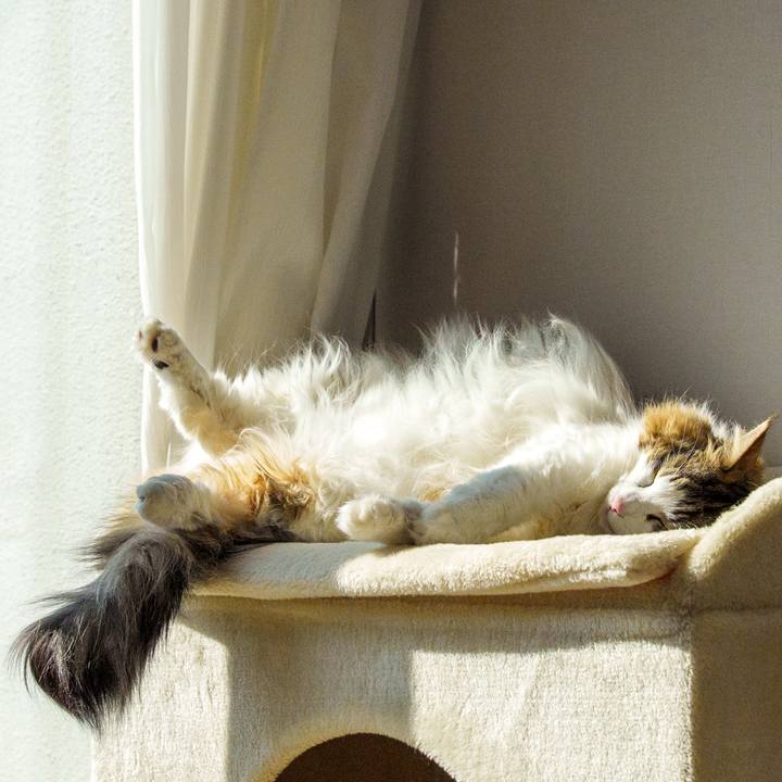 5489e9a3 1262 4b1d 97fa 78e2a796f11c 1744185731122