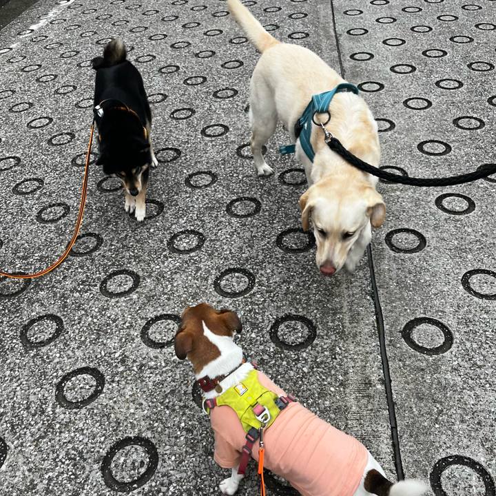 5489ea4c 603f 49b9 98ef 0df074ed936f 1728345964652