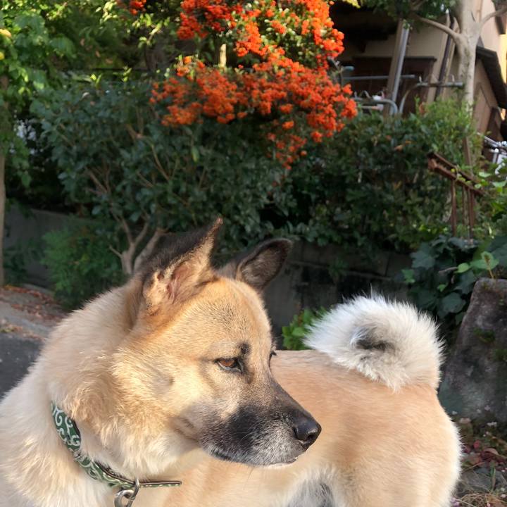 548a681f 9cae 4a64 8d89 b20abc7de5ae 1634732647629