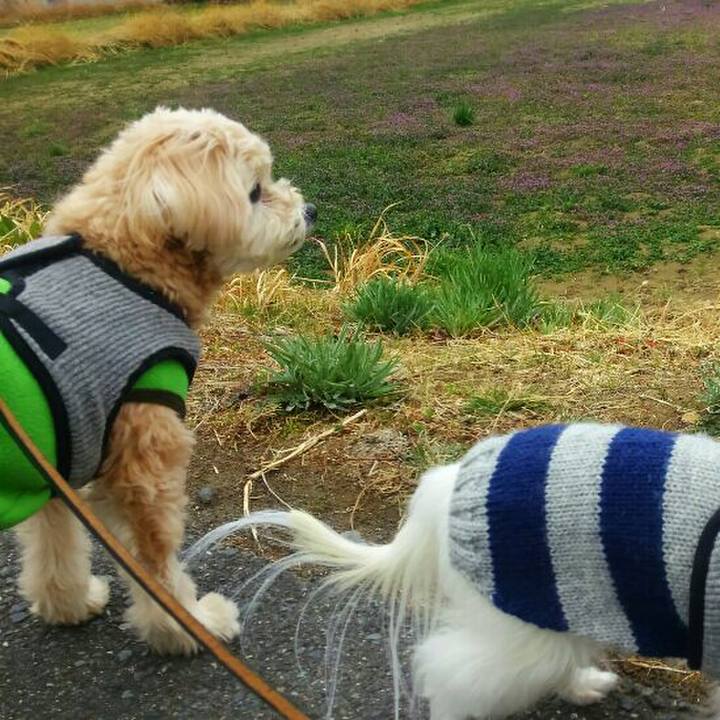 548ab122 3733 4062 b454 a2ddeffbd236 1552222534381