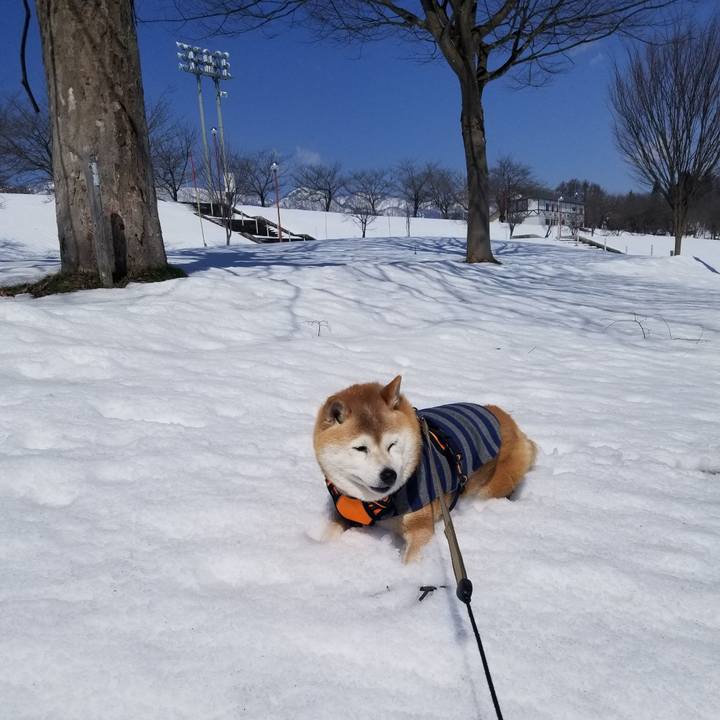 548acc10 43da 47a9 86f3 2f45cc4a95d1 1710388348980