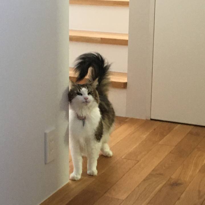 548ad316 8c14 4f68 97e3 c0c656424779 1599809230754