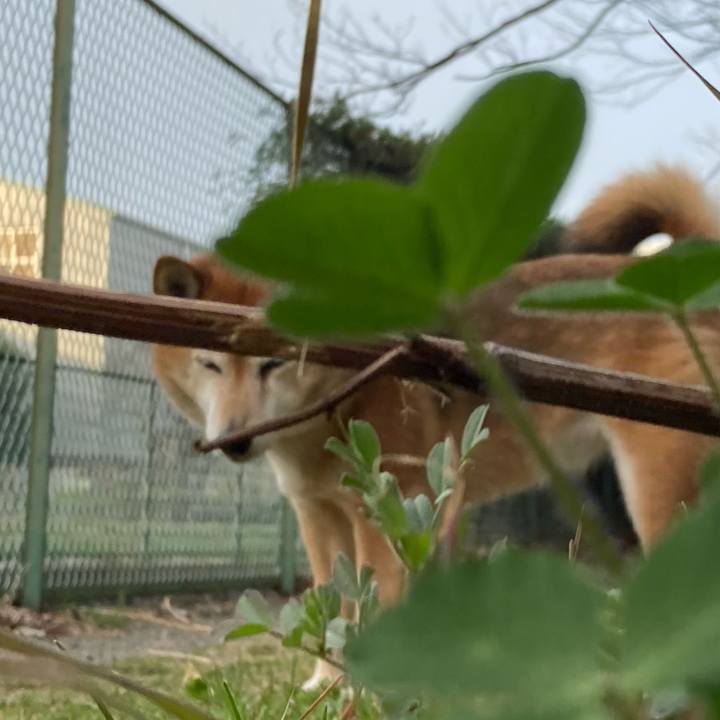 548adcbc 39d2 406e bfd0 259a1a45119f 1647158278788