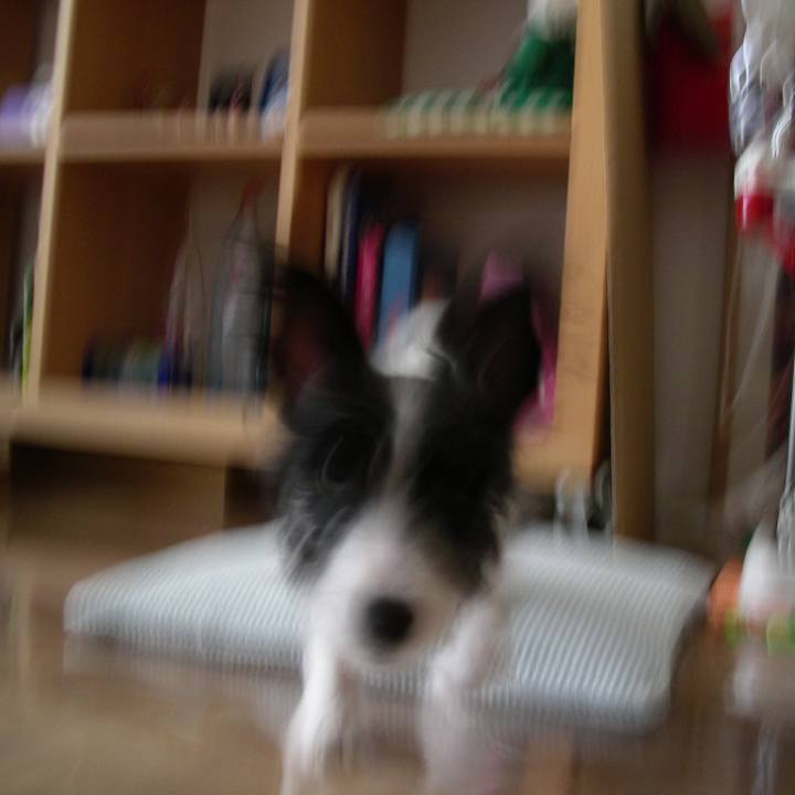 548ae7aa e577 4715 894f 1ade4d5ba7c7 1541919805807