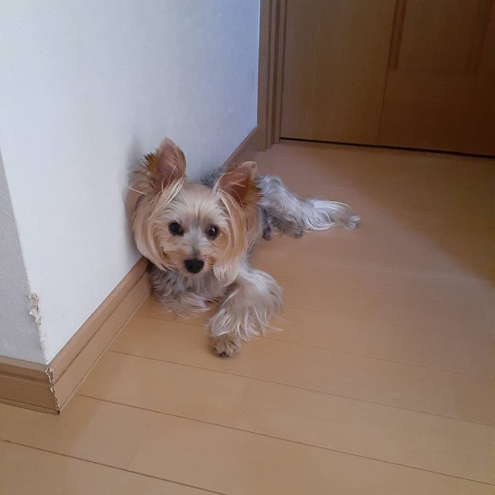 548aead0 a9a6 4f72 ace2 f892b62d52a6 1693011156132