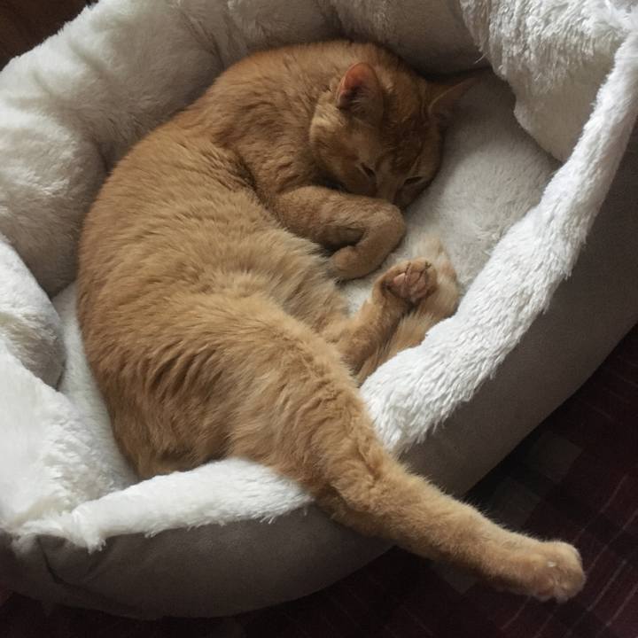 548b078b 8e5a 4200 9c6c 2c93bbb0bfdb 1633650444939