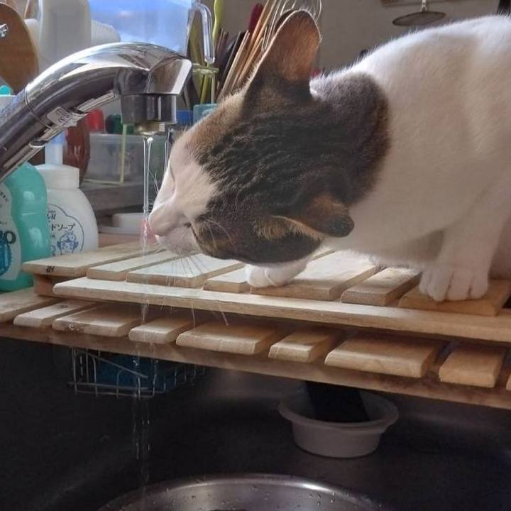 548b2f29 14a0 4413 8f83 2cc5389805c6 1689979401438