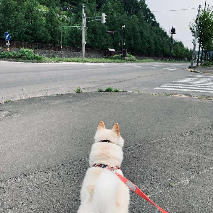 548b3bfc f03b 49b3 935a e5b74f972f82 1562879756330