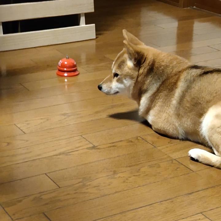 548b3c20 9099 4958 8086 02453dd476ac 1643336889119