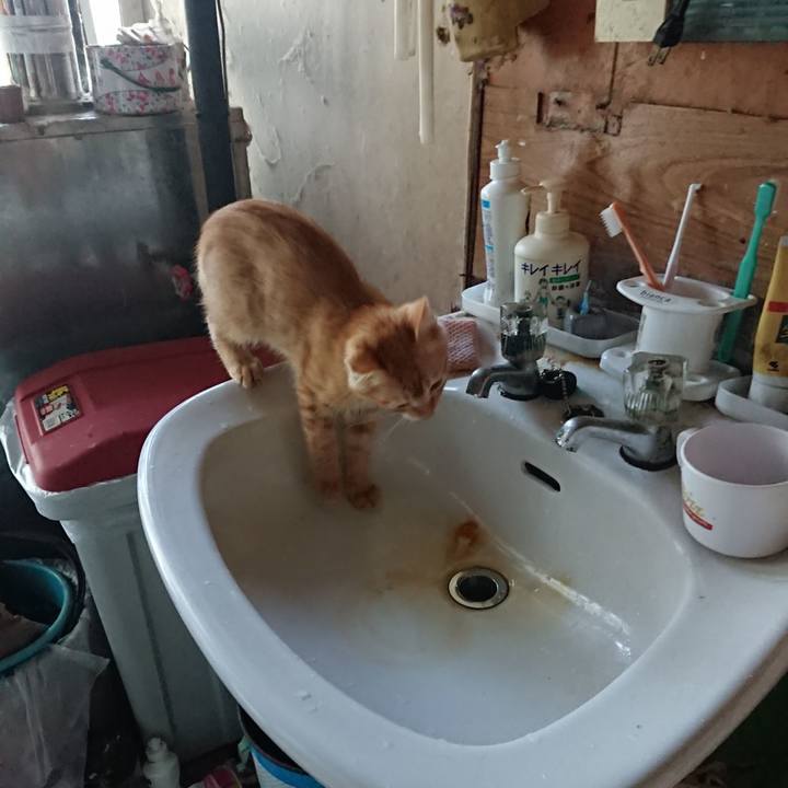 548b6d40 cea4 4e4f 9a0e a0b80ebf339d 1632262582339