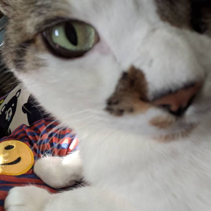 548b6efa 0a64 4477 885b 280510beb7d1 1772861041488