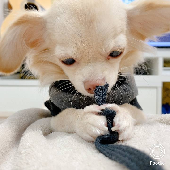 548b7f4a b226 4b72 97a4 9d543c15aa58 1603091080572