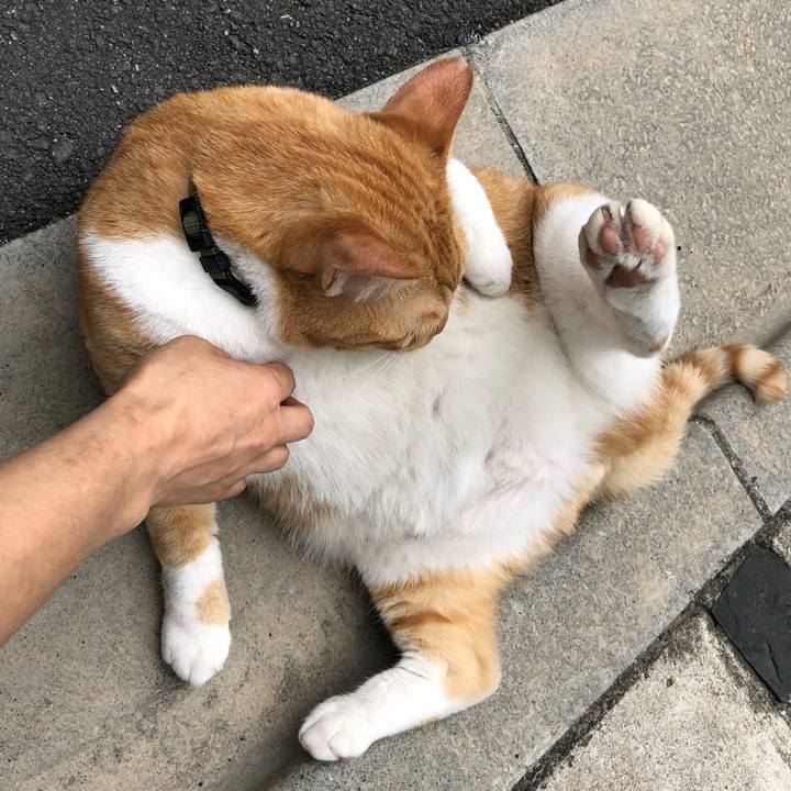 548b995a a205 4f4b 8a42 c45a7420b654 1560605008318