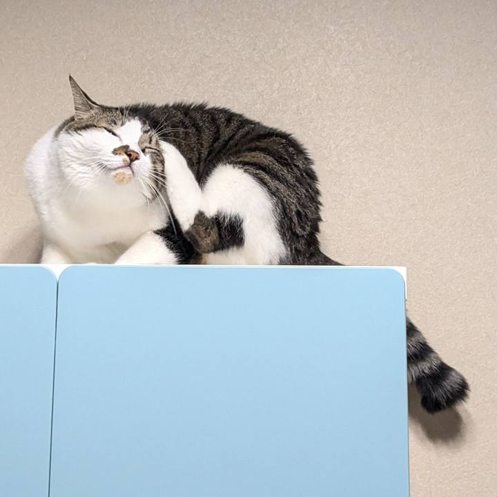 548bb9f0 d2d4 4c5b 8e53 1a1cd1562dc0 1732446053185