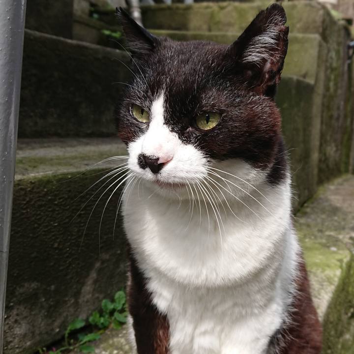 548c1cc7 0585 466f 83f2 c9b3ca175367 1687649788925