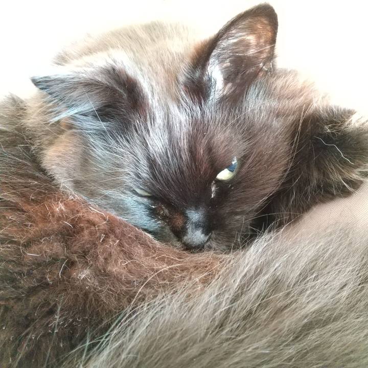 548c239a f4ee 4a53 9150 3089300acb9d 1579137331551