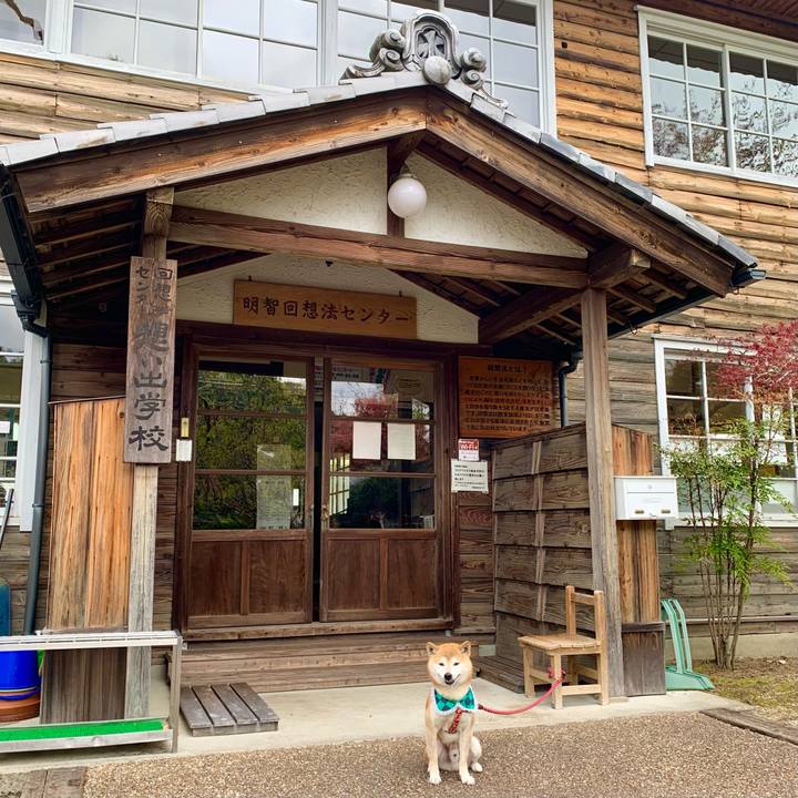 548c48b3 6ad9 43f4 b51c 4f04a8ddebea 1618828086067