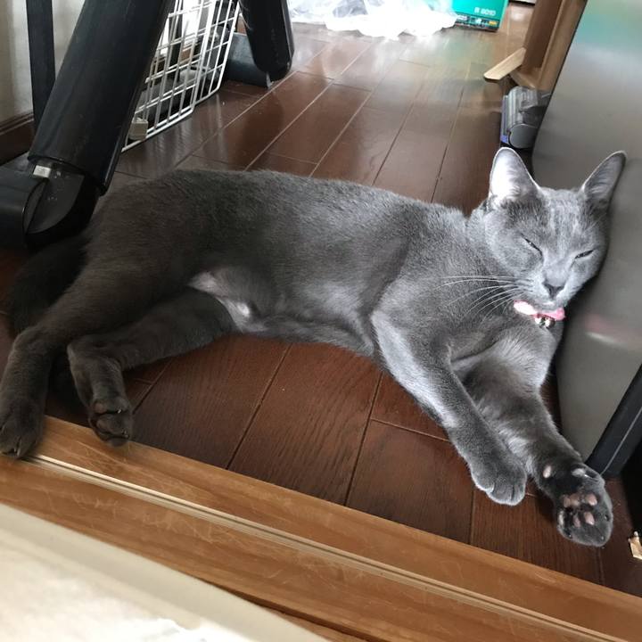 548c4b92 eb58 43f6 8df3 254dfea43258 1558864159431