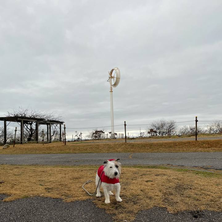 548c84ef e345 4bed b7c2 ebe759c50464 1611702729808