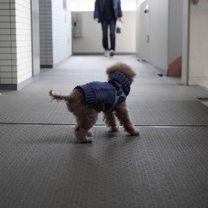 548c975c b095 4bc4 aa16 bf20fdc213f5 1699880568221