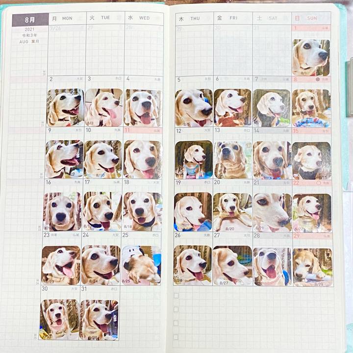 548c997f 1883 4def bfb3 2e3696a9d4a7 1631458594095