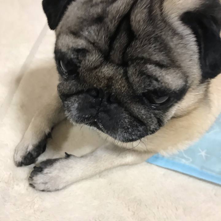 548cb40c 2174 4e85 943f eb8ff845f348 1589804835046