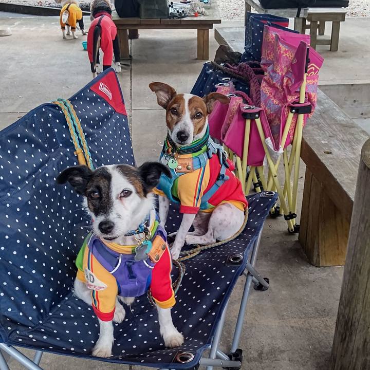 548cb85d 6bb6 47da b440 2fcc3b83ae62 1696804474590