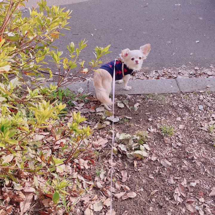 548cf82a b953 4bad a88c 2e8ae8f024fd 1676799165493