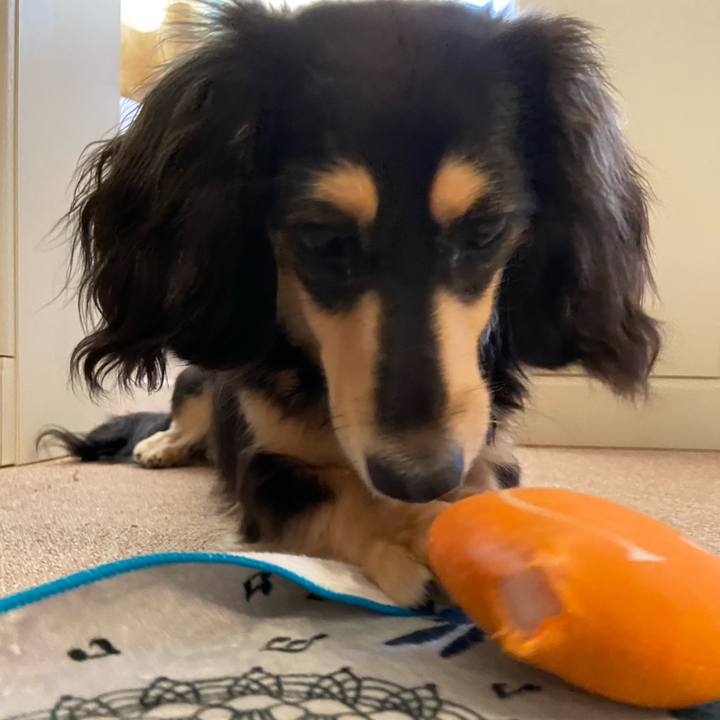 548d023e 85fc 4cd1 be67 8d2749705210 1689311850628