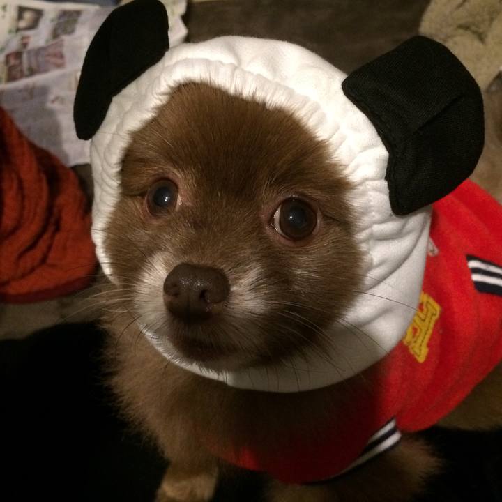 548d086e 0212 4458 9ff8 fe45dda5a269 1514772354973