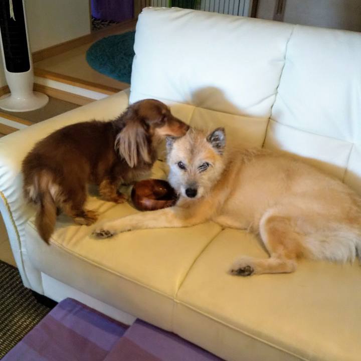 548d3e4a 82d2 4c0b 88c1 11ab3ee9752c 1566706931693