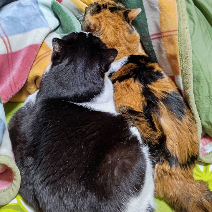 548d54dd aa0b 40a3 9de4 87d2d0ccfad0 1637104514988