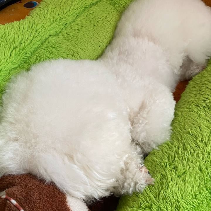 548d7d13 ab4c 4845 b100 6812ef20c6e5 1617674710945