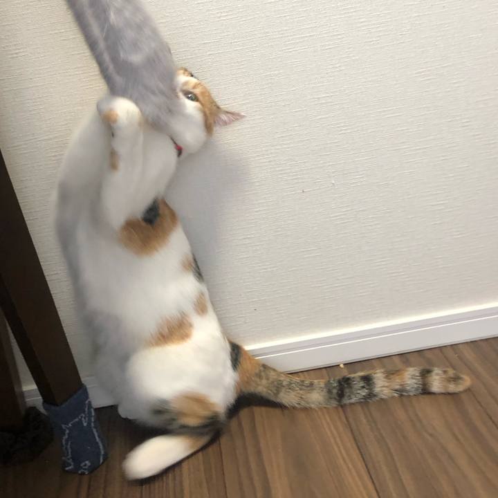 548da49f 61a1 4da5 89e6 a77ea8fcbfde 1575588511382