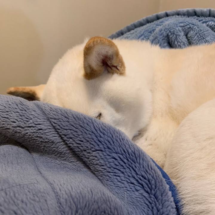 548dace4 2364 41fa 9099 21ee9977642a 1552111665432