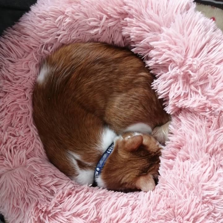 548dff80 d31c 409e 9783 43a8cd9f97fe 1668818649774