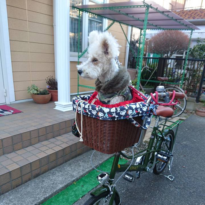 548e18f8 603f 4e2a 9a81 e71689e673d3 1518076733630