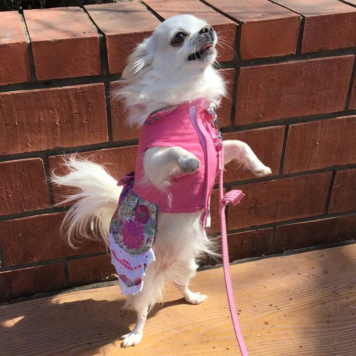 548e1a93 397e 4fd9 83f8 30bb7cccf4fd 1521111379934