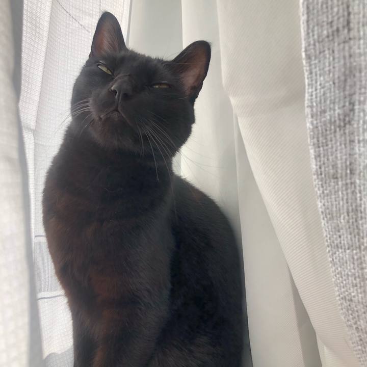 548e339a 1888 4e59 961e 05c7e4bbc3ea 1605054609038