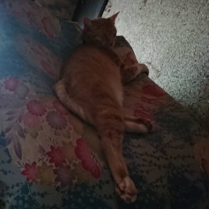 548e58d2 5cbc 4997 b0bd b8db43e222ff 1594436293705