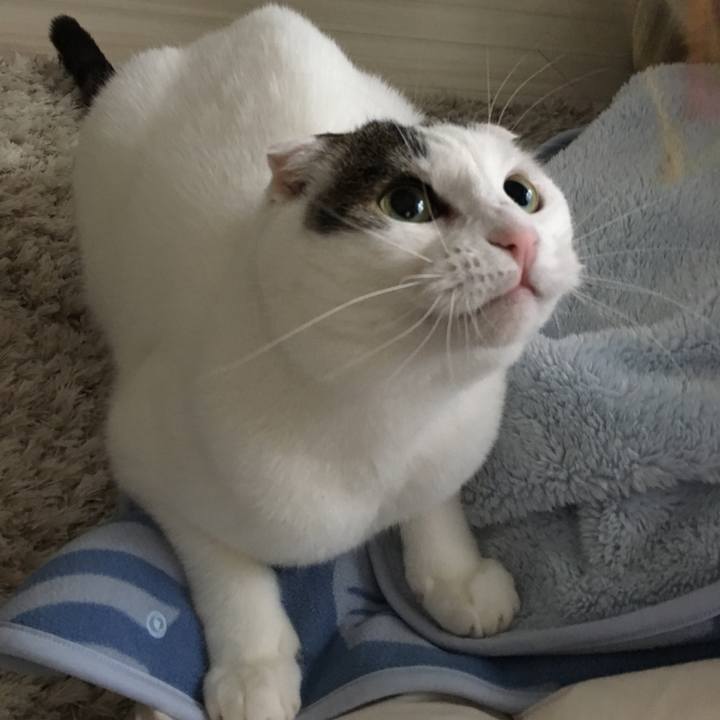 548ebe75 8844 4f35 819d 712db1ad684d 1515385513543