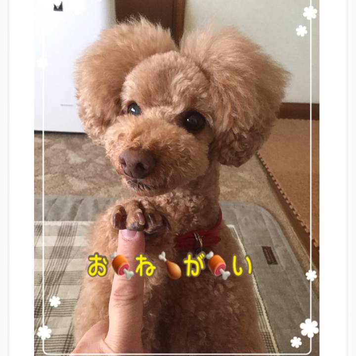 548ec018 eefb 45b6 a7e5 01ba82100249 1524994689604